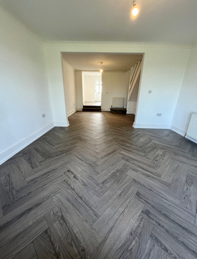 Kitchen and lounge renovation Project image