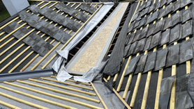 Re Roof with Fibre Glass Flat Roof Galley Project image