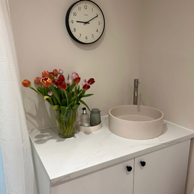 Back-Yard Salon Build With Direct Street-Access Project image