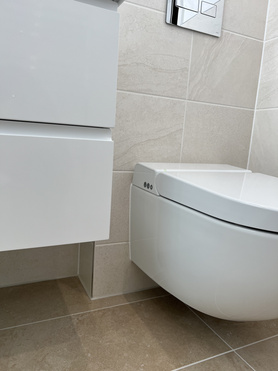 Bathroom to Shower Room Conversion  Project image