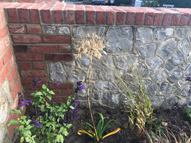 Ragstone Walls Project image