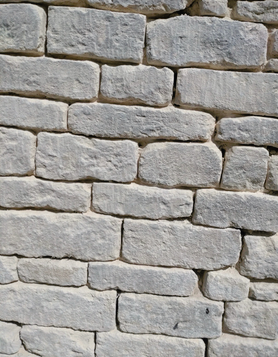 Limestone Restoration and Repointing Project image