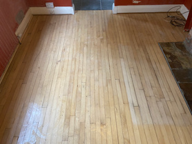 Wet rot  Project image