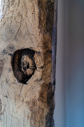 Converted stable to holiday cottage Project image