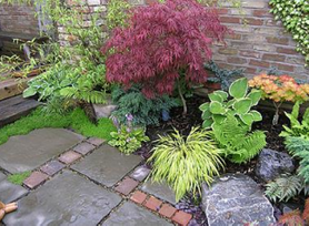 Stunning Landscaping including 10 Waterfalls Project image