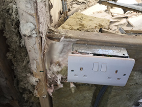 Dry Rot Project image