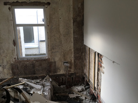Dry Rot Project image