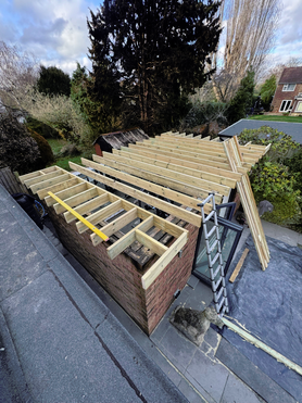 Roof structure  Project image