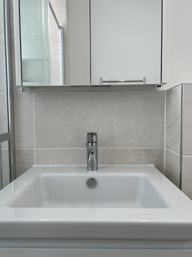 Bathroom to Shower Room Conversion  Project image