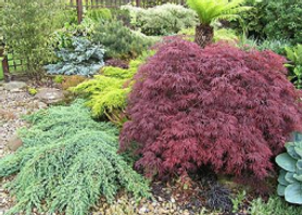 Total Transformation  Project image