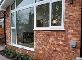 Single Storey side and rear extension, including structuralalterations and landscaping Project image