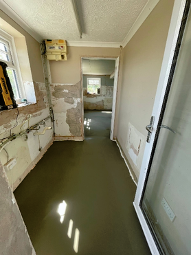 box tree Project image