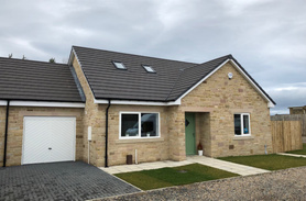 New Project Project image