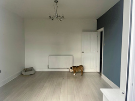 Kitchen and structural alterations Project image