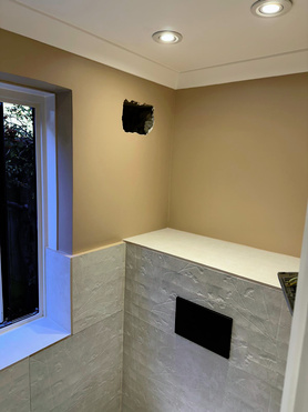 Full Toilet Renovation Project image