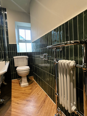 Bathroom Renovation  Project image