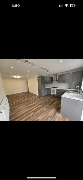 A complete renovation of a property with a back extension. Project image