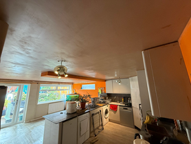 Large Artex ceiling skimmed Project image