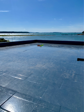 Sandbanks - 4 year old felt roof completely failed Project image