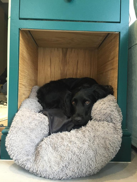 Rear Extension  Project image