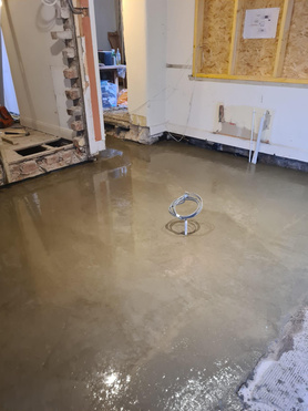 Kitchen renovation  Project image