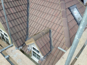 Extension Project image