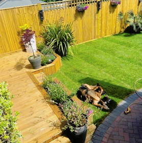Garden Renovation Project image