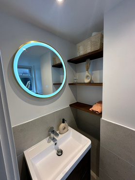 Separate toilet Refurbishment Project image