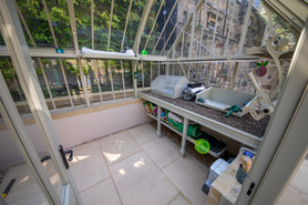 Great King Street Project - Louise’s Dream Garden & Greenhouse Project image