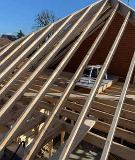 Roof Structure  Project image