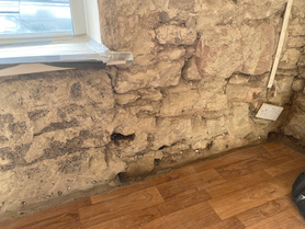 Rising Damp  Project image