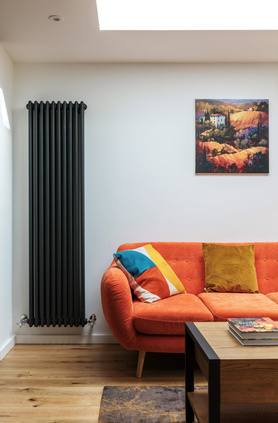 Ground floor rear extension  Project image