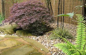 Total Transformation  Project image