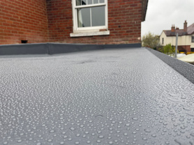 Extension  Project image