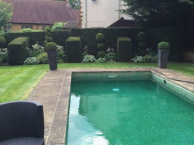 New Project Project image