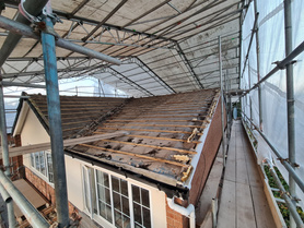 Hale -1 Project image