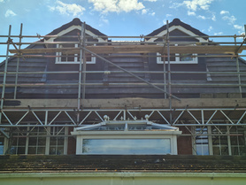 Hale -1 Project image