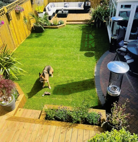 Garden Renovation Project image