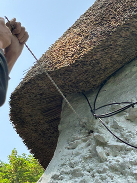 Harmony Cot  Project image