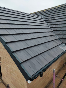 Extension  Project image