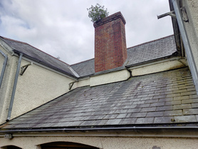 Extension Project image