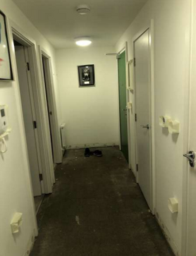 Comprehensive Residential Renovation Project image