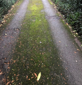 Tarmac Driveway Project image