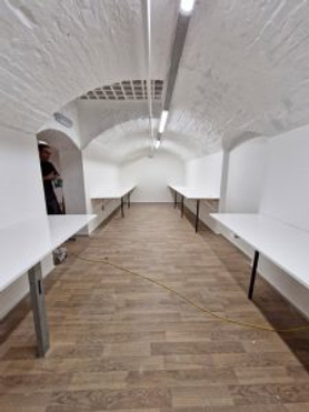 Basement into Office Space Project image