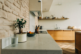 Luxury FF and GF Extension / Renovation  Project image