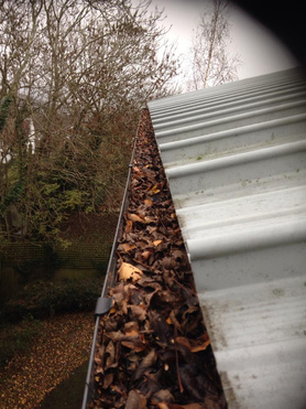 Gutter Cleaning Project image