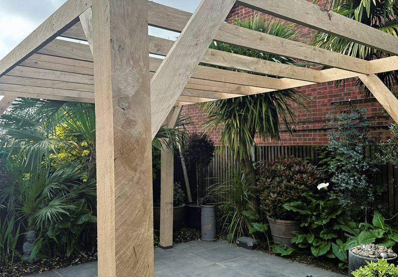 TMASA Limited's featured image