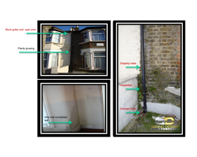 Forensic Engineering for Damp Defects in External and Internal Walls Project image