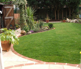 Turfing Project image