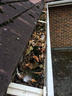 Gutter Cleaning Project image